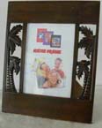 Direct import picture - Hawaii tropical tree 